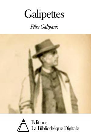 Cover of the book Galipettes by Évariste Galois