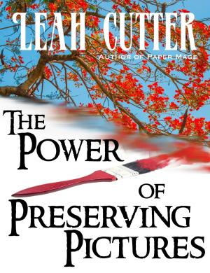 Cover of the book The Power of Preserving Pictures by Leah Cutter