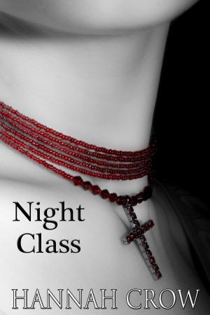 Cover of the book Night Class by Michelle Marcos