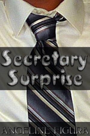 Cover of the book Secretary Surprise by Angeline Figura