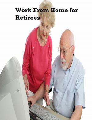Book cover of Work from Home for Retirees
