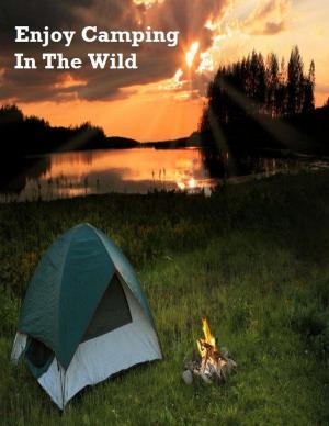 Cover of the book Enjoy Camping In the Wild by V.T.