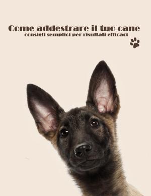 Cover of the book Come addestrare il tuo cane by Harvey Newcomb