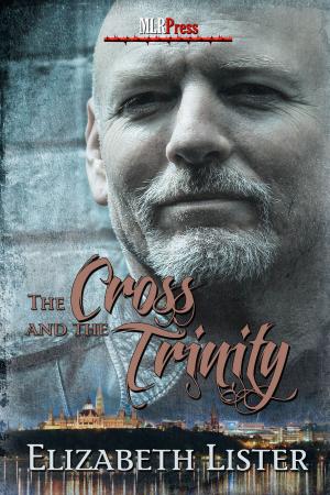 Cover of the book The Cross and the Trinity by M.E. McLaughlin