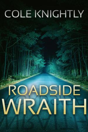 Cover of the book Roadside Wraith by N.R. Wick