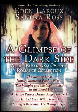 Cover of the book A Glimpse of the Dark Side by C.J. McLane