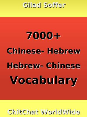 Book cover of 7000+ Chinese - Hebrew Hebrew - Chinese Vocabulary