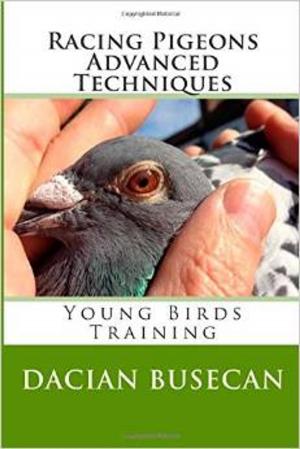 Book cover of Racing Pigeons Advanced Techniques - Young Birds Training