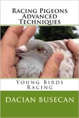 Book cover of Racing Pigeons Advanced Techniques - Young Birds Racing