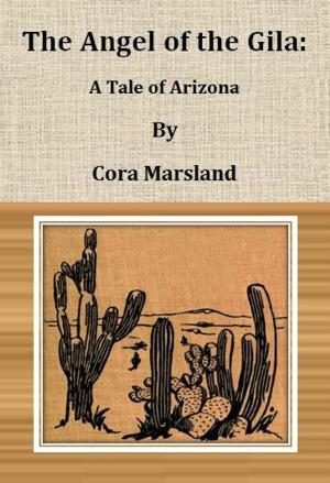 Cover of the book The Angel of the Gila: A Tale of Arizona by Mrs. (Margaret) Oliphant