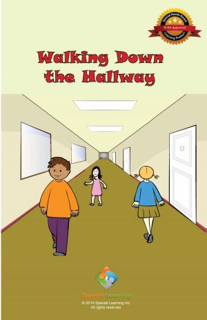 Cover of the book Walking Down the Hallway by Brian O'Donnell.