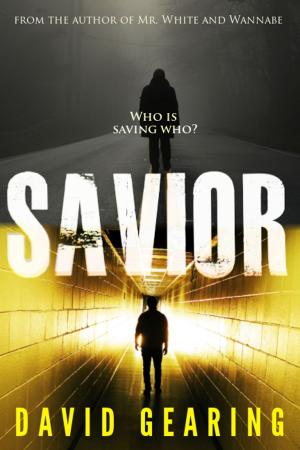 Cover of the book Savior by Tom Vetter