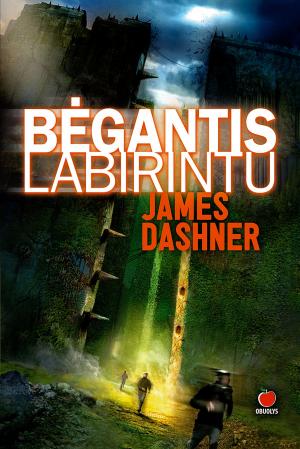 Book cover of Bėgantis labirintu