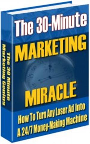 Book cover of The 30 Minute Marketing Miracle