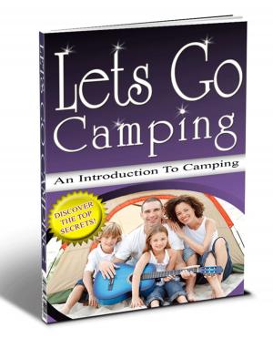 Cover of the book Let's go Camping by theresa saayman
