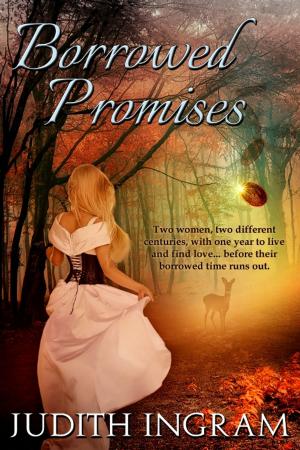 Cover of the book Borrowed Promises by Nolan Carlson
