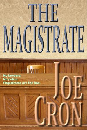 Book cover of The Magistrate