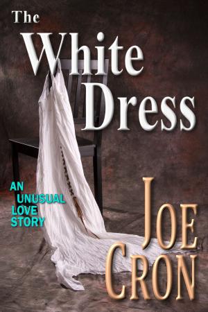 Book cover of The White Dress