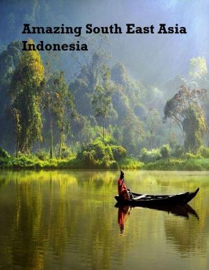 bigCover of the book Amazing South East Asia: Indonesia by 