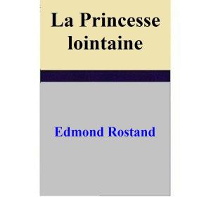 Book cover of La Princesse lointaine