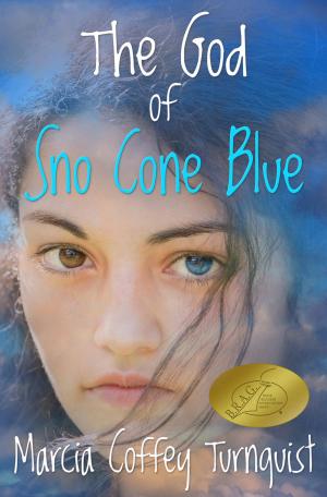 Cover of the book The God Of Sno Cone Blue by claudia chiurchiu'