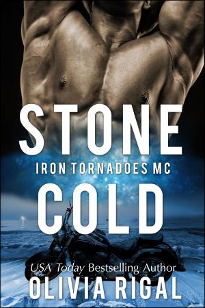 Cover of the book Stone Cold by Savannah Rylan