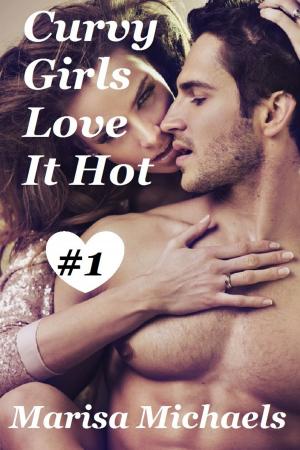 Cover of the book Curvy Girls Love it Hot by Elizabeth SaFleur