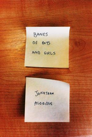 Cover of the book Banes Of Boys And Girls by Joanne DeMaio