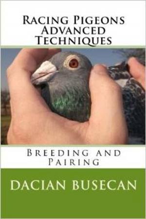 Book cover of Racing Pigeons Advanced Techniques -Breeding and Pairing