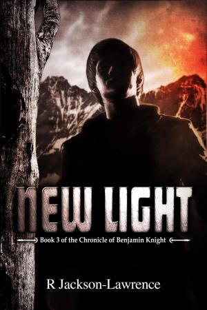 Book cover of New Light