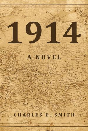 Book cover of 1914