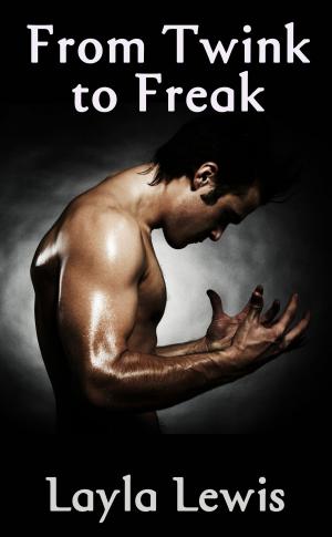 Cover of the book From Twink to Freak by Layla Lewis