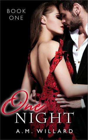 Cover of the book One Night by Bill Orton