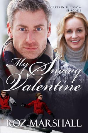Cover of the book My Snowy Valentine by Debra Parmley