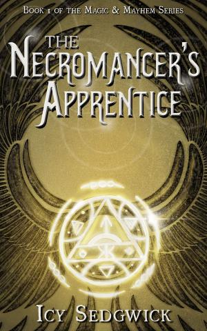 Cover of the book The Necromancer's Apprentice by Estelle Maskame