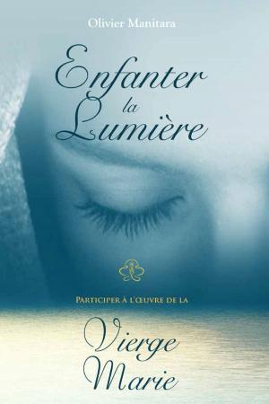 Cover of the book Enfanter la lumière by Olivier Manitara