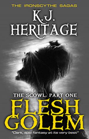 Cover of the book Flesh Golem by Jillian Kulp