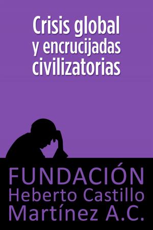 Book cover of Crisis global y encrucijadas civilizatorias