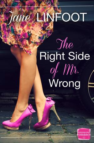 Cover of the book The Right Side of Mr Wrong by Dan Yaccarino