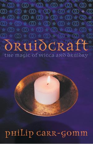 Book cover of Druidcraft: The Magic of Wicca and Druidry