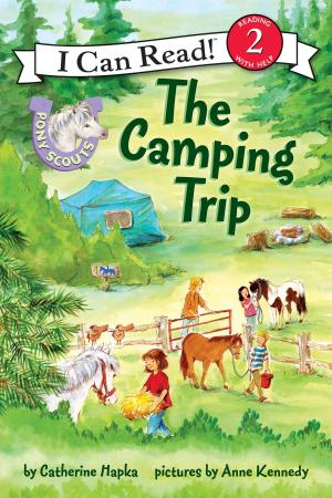 Cover of the book Pony Scouts: The Camping Trip by Bruce Brooks