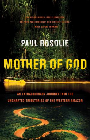 Cover of the book Mother of God by Robin McMillan