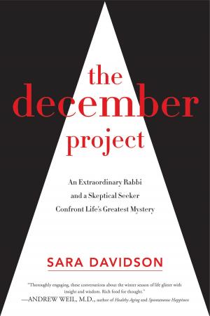 Cover of the book The December Project by Bart D. Ehrman