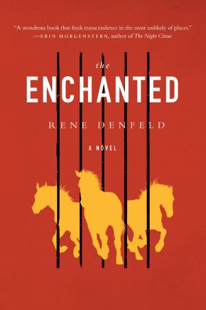 Cover of the book The Enchanted by Lois D. Brown