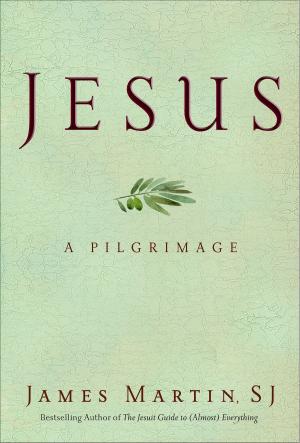 Cover of the book Jesus by Oriah