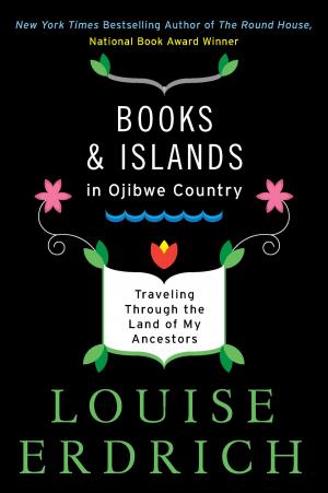 Cover of the book Books and Islands in Ojibwe Country by Alafair Burke