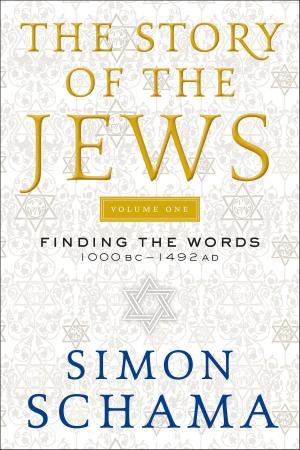 Cover of the book The Story of the Jews by Duval Timothy, Folayemi Brown, Jacob Fodio Todd
