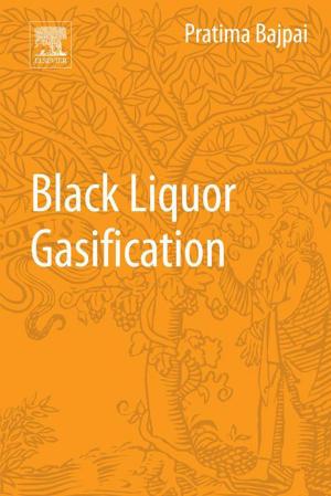 Cover of the book Black Liquor Gasification by Bertrand C. Liang