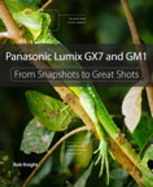 Cover of the book Panasonic Lumix GX7 and GM1 by John Pierce