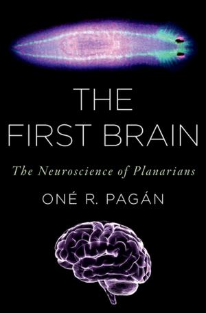 Cover of the book The First Brain by Peter J. Lewis